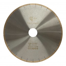 Disc diamantat segmentat...